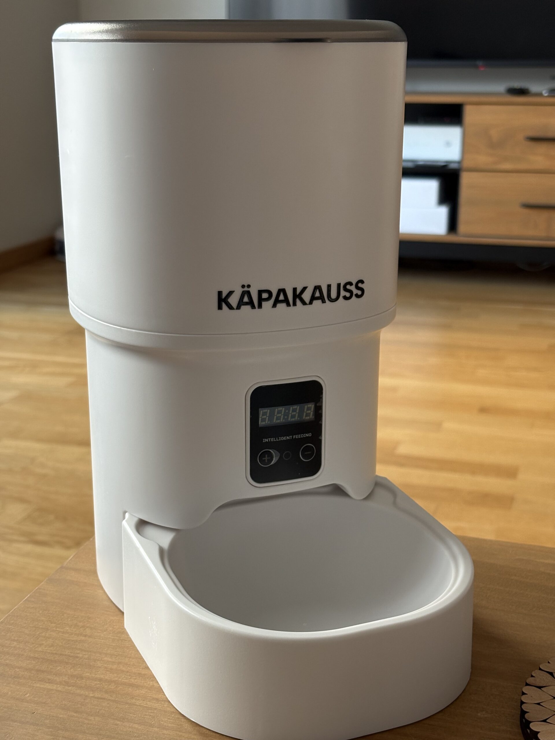 about-02 IMG_0815.jpeg